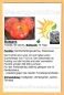 Preview: Tomate * Rutgers * 50 Samen